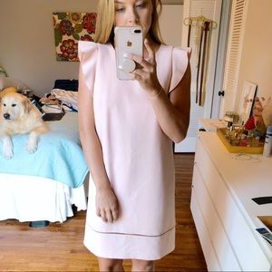 LOFT Light Pink Flutter Sleeve Dress Size 4